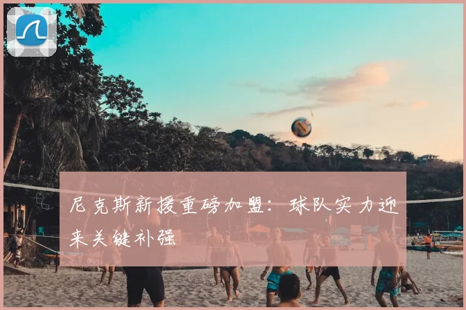 尼克斯新援重磅加盟:球队实力迎来关键补强