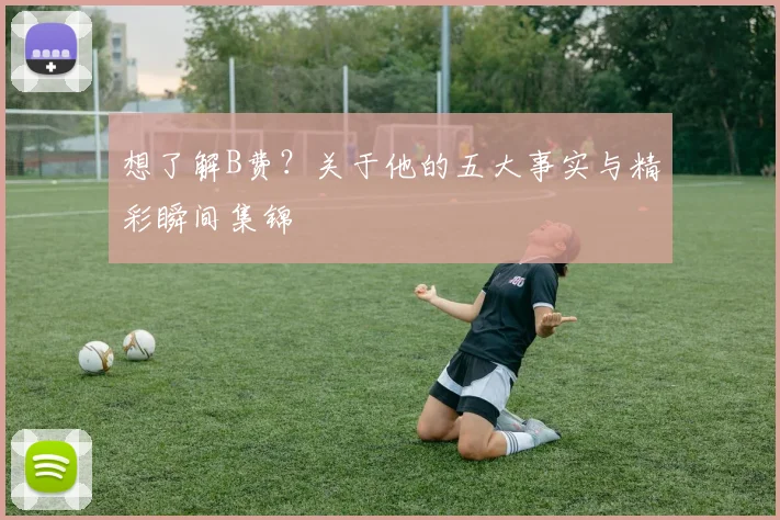 想了解B费?关于他的五大事实与精彩瞬间集锦