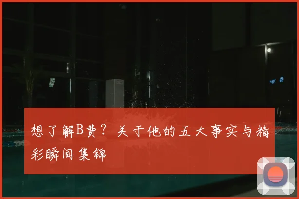 想了解B费？关于他的五大事实与精彩瞬间集锦