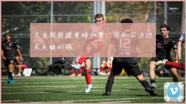 尼克斯新援重磅加盟：球队实力迎来关键补强